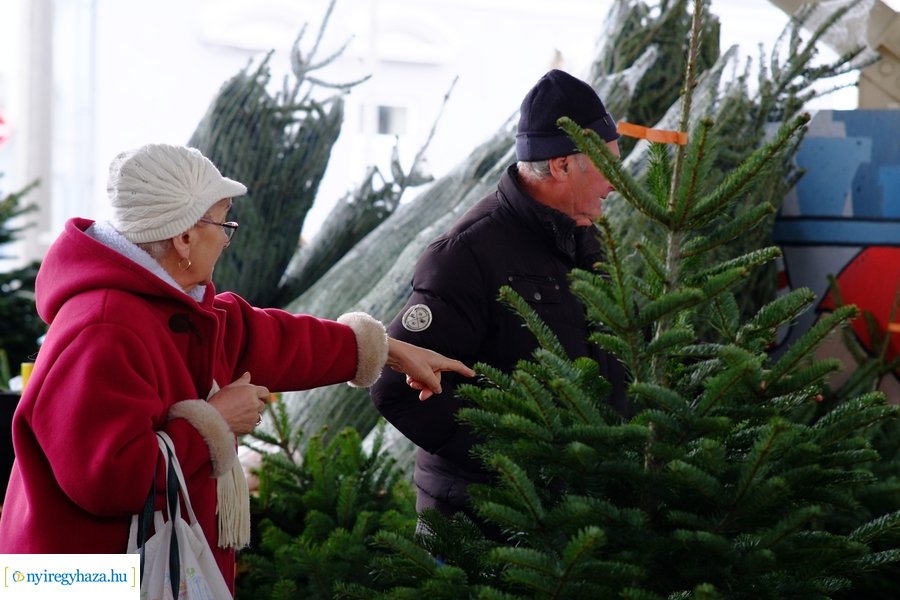 Fenyőfa vásár a Búza téri piacon 2022