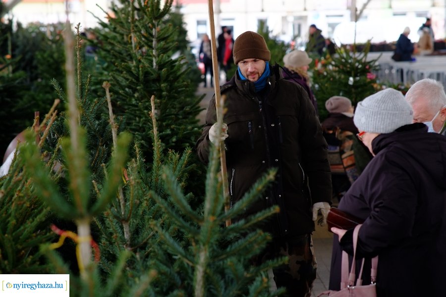 Fenyőfa vásár a Búza téri piacon 2022