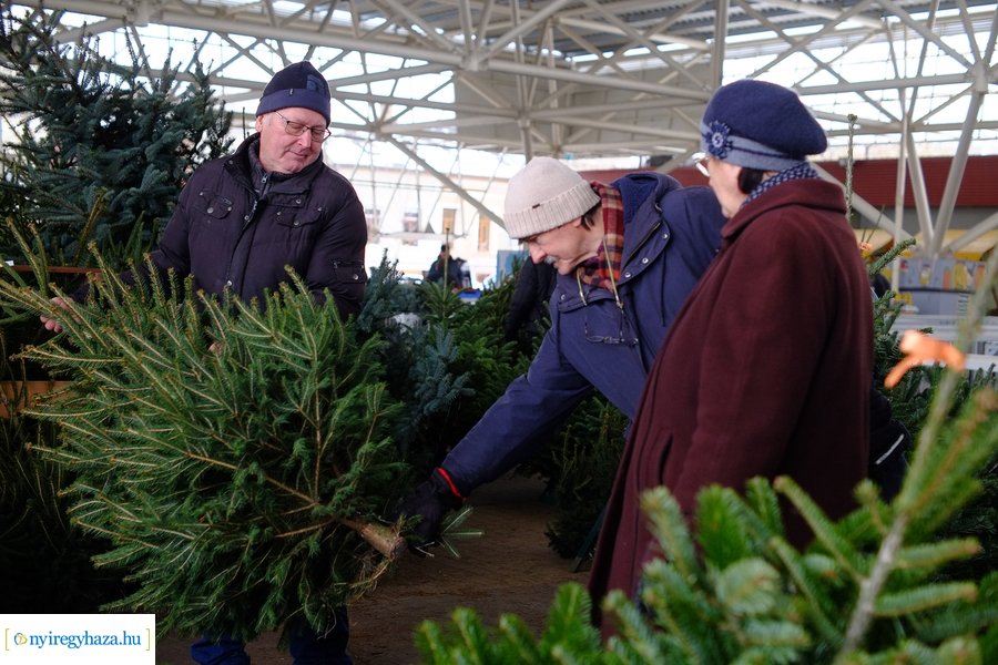 Fenyőfa vásár a Búza téri piacon 2022