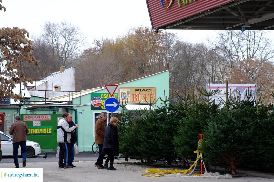 Fenyőfa vásár a Búza téri piacon 2022
