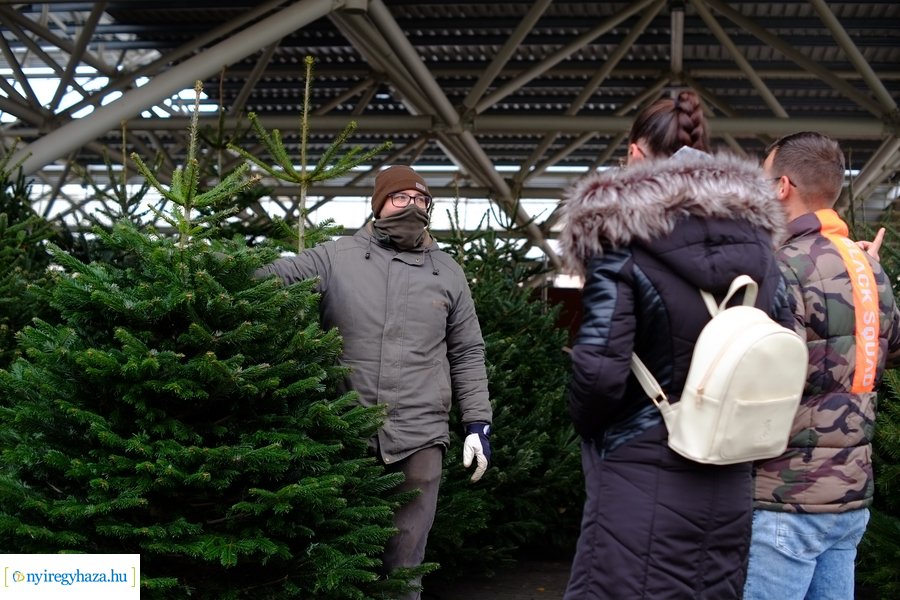 Fenyőfa vásár a Búza téri piacon 2022