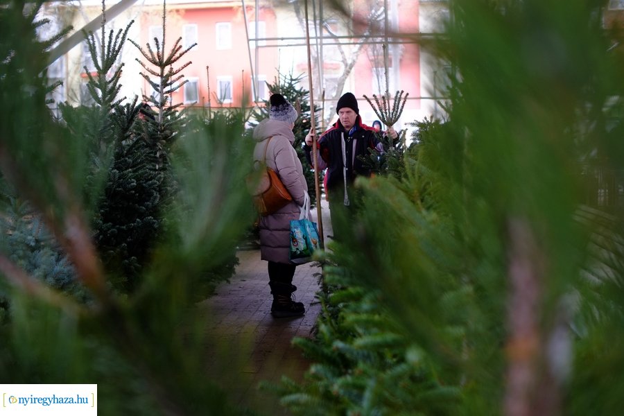 Fenyőfa vásár a Búza téri piacon 2022