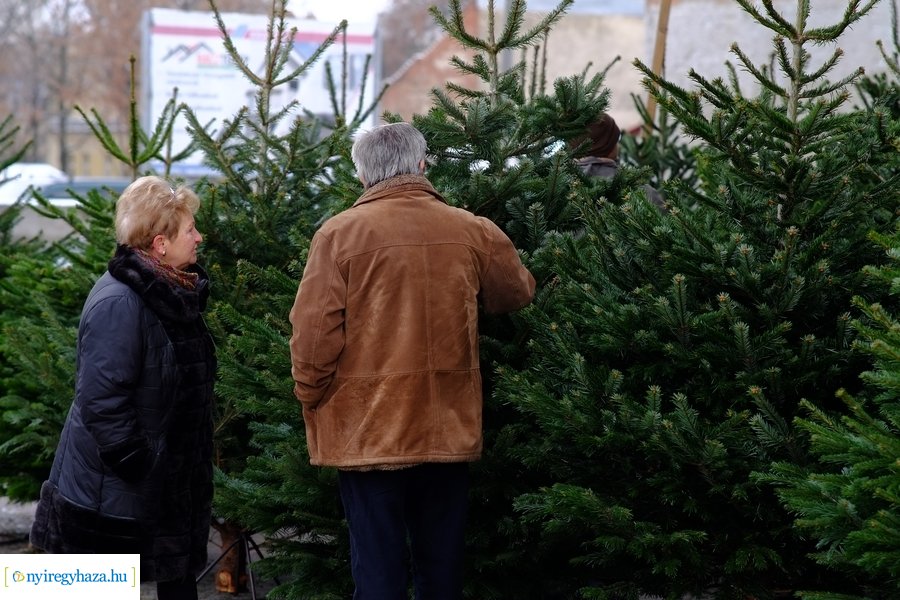 Fenyőfa vásár a Búza téri piacon 2022