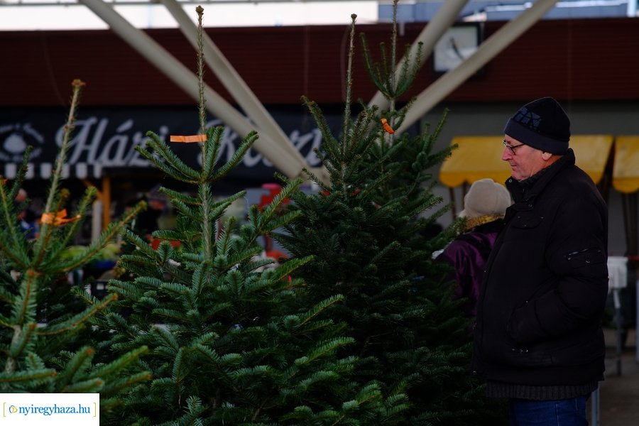 Fenyőfa vásár a Búza téri piacon 2022