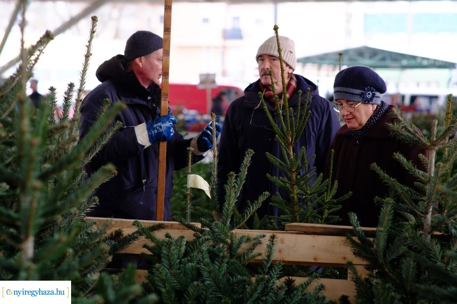 Fenyőfa vásár a Búza téri piacon 2022