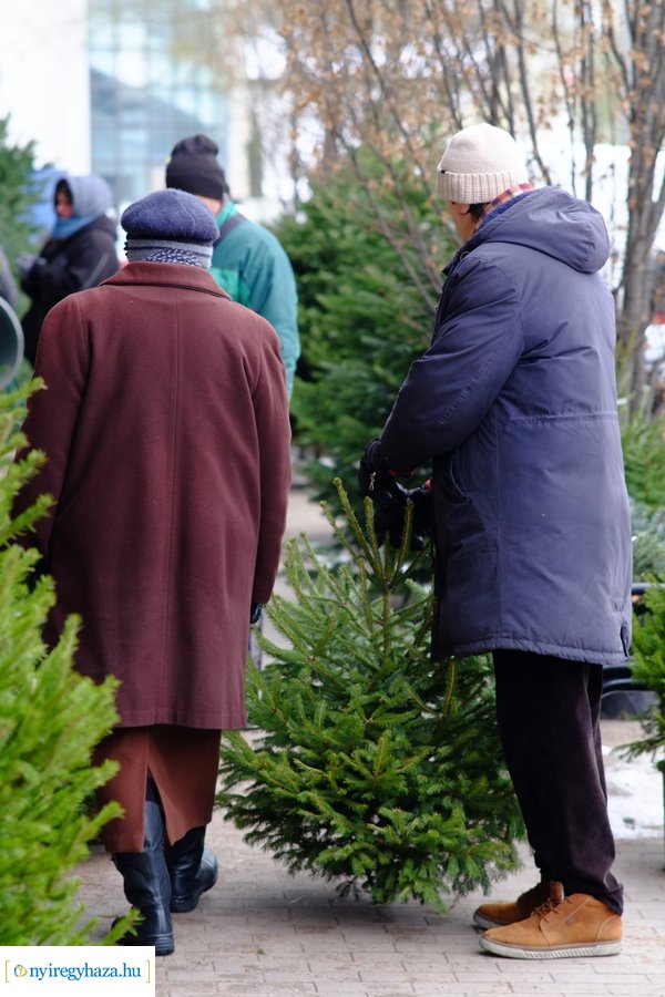 Fenyőfa vásár a Búza téri piacon 2022