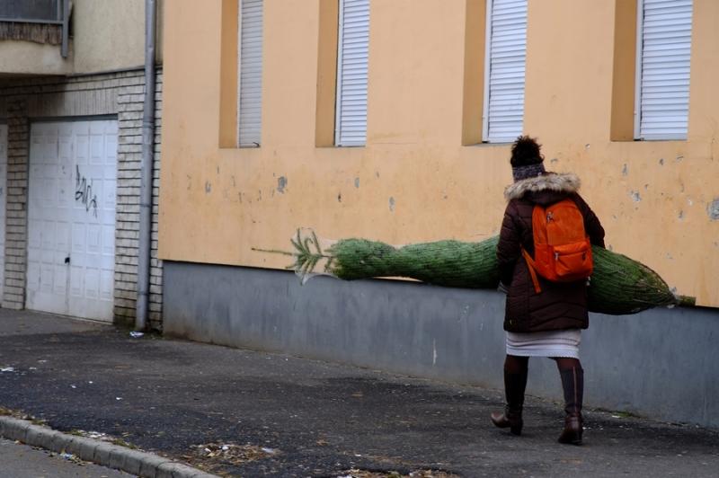 Fenyőfa vásár a Búza téri piacon 2022