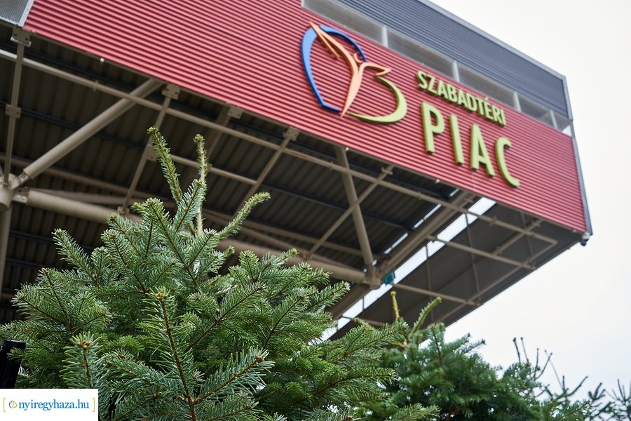 Fenyőfa vásár a Búza téri piacon