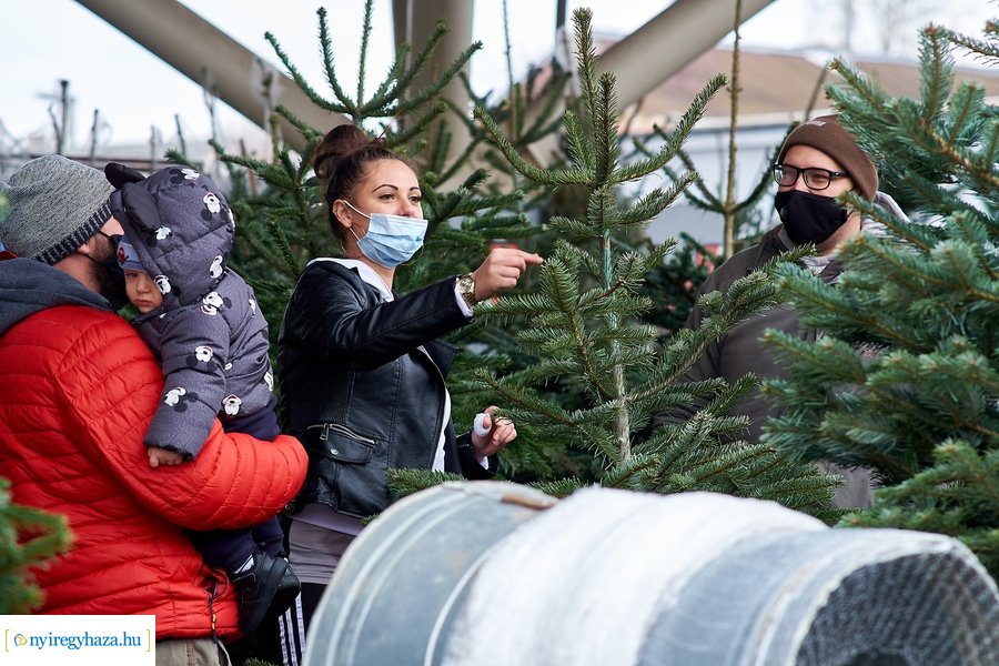 Fenyőfa vásár a Búza téri piacon