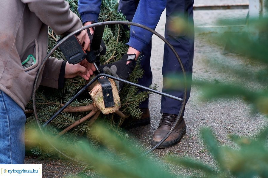 Fenyőfa vásár a Búza téri piacon