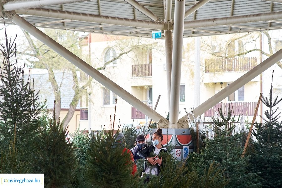 Fenyőfa vásár a Búza téri piacon