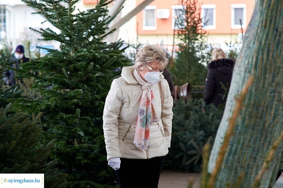 Fenyőfa vásár a Búza téri piacon