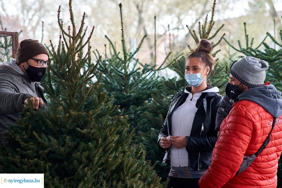 Fenyőfa vásár a Búza téri piacon