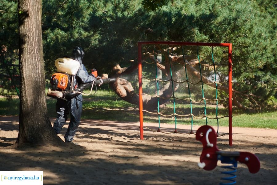 Fertőtlenítés a Jósavárosban