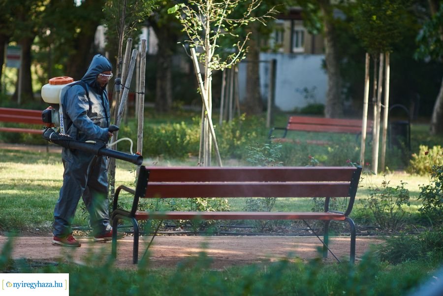 Fertőtlenítés a Jósavárosban