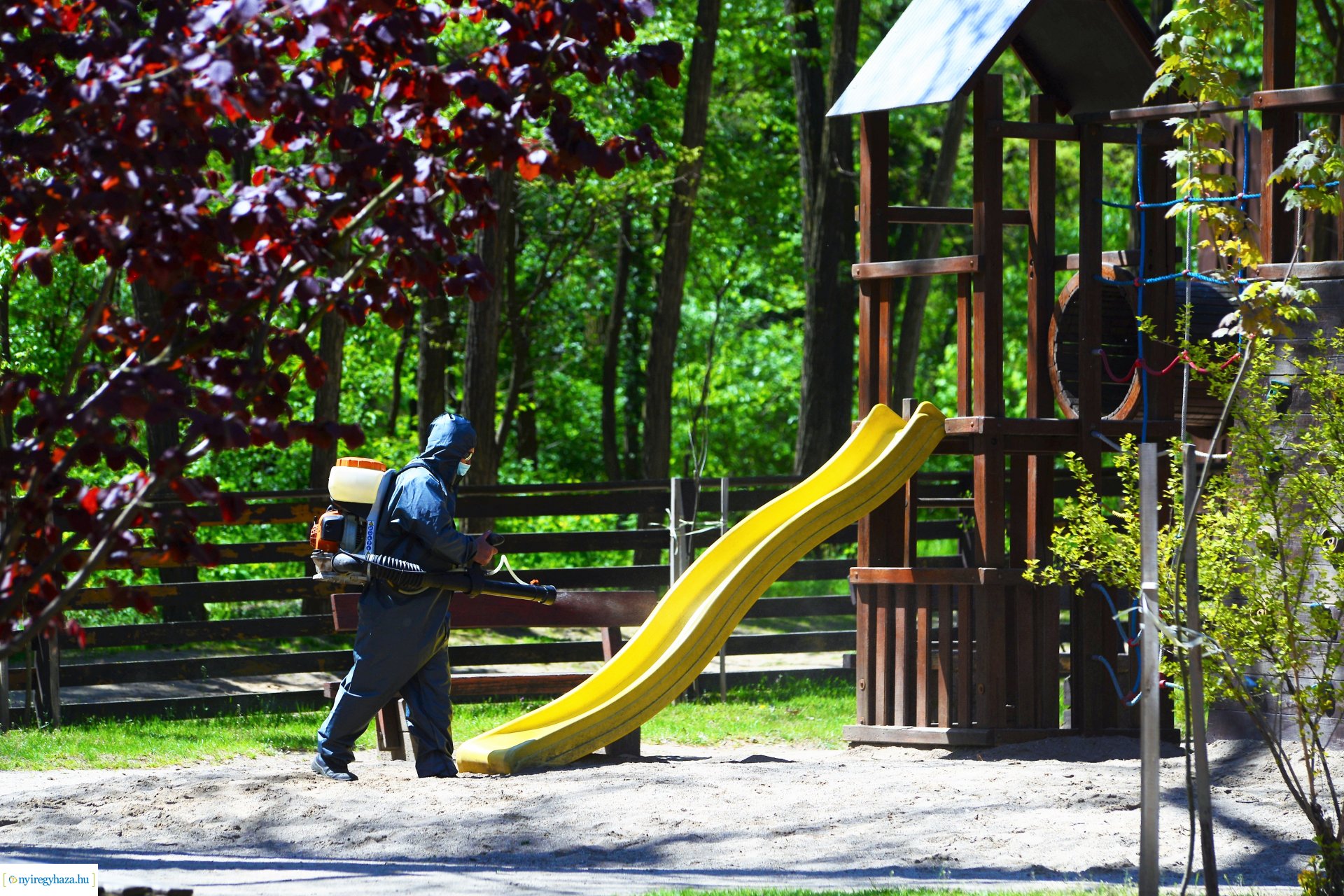 Fertőtlenítés az Erdei Tornapályán