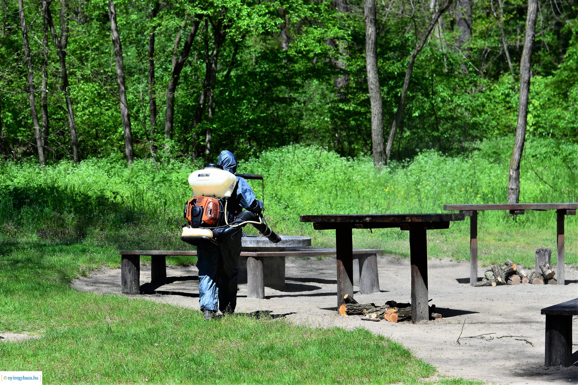 Fertőtlenítés az Erdei Tornapályán