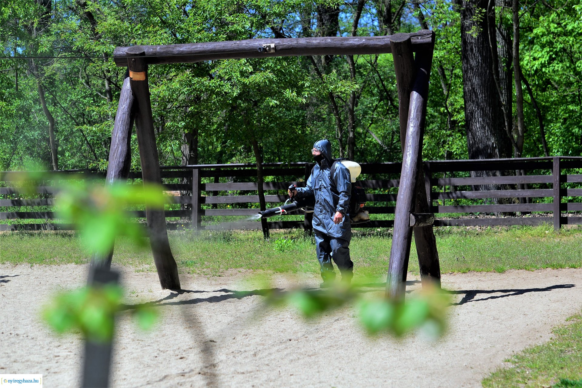 Fertőtlenítés az Erdei Tornapályán