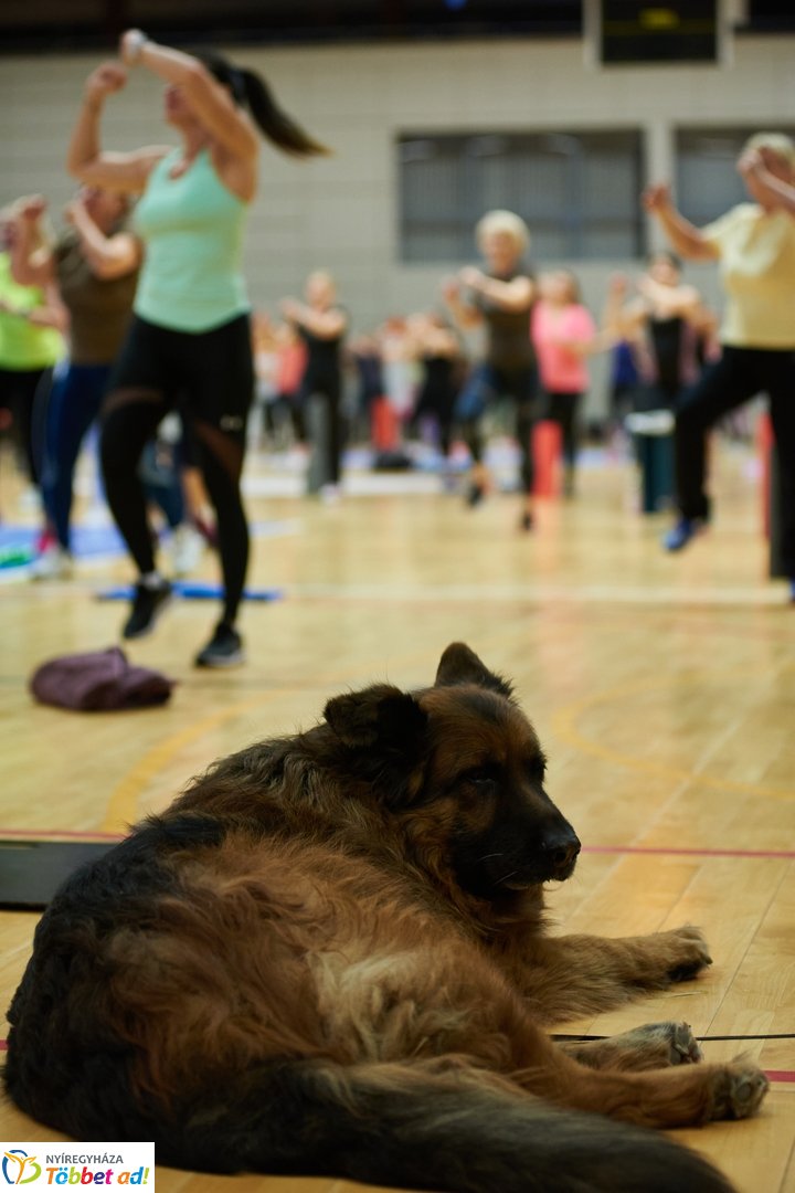 Fitt-Nőnap Katus Attilával - 2026