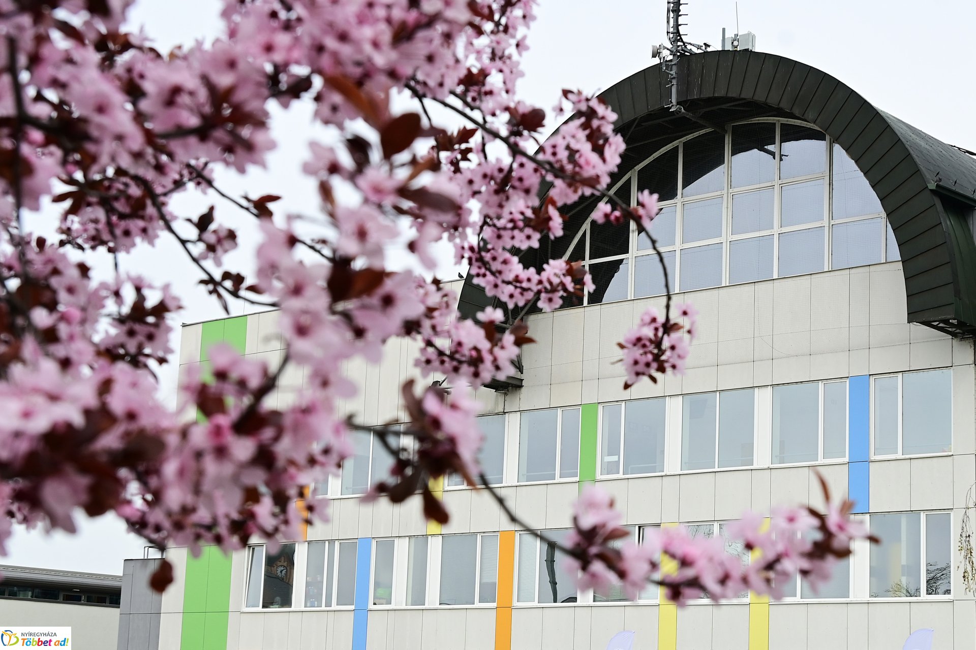 Fitt Stadion rendezvény  a Continental Arénában