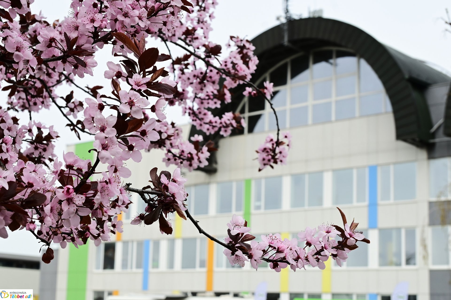 Fitt Stadion rendezvény  a Continental Arénában
