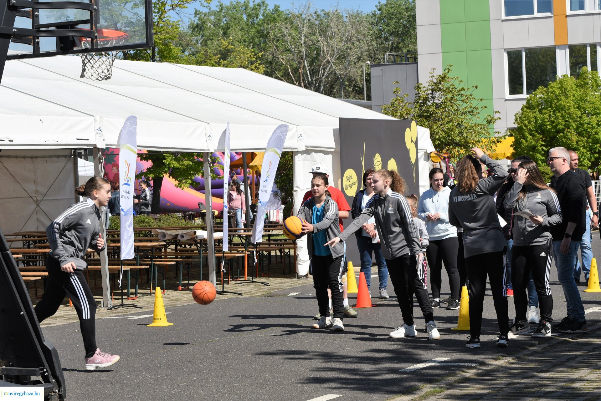 Fitt Város 2023 - 2