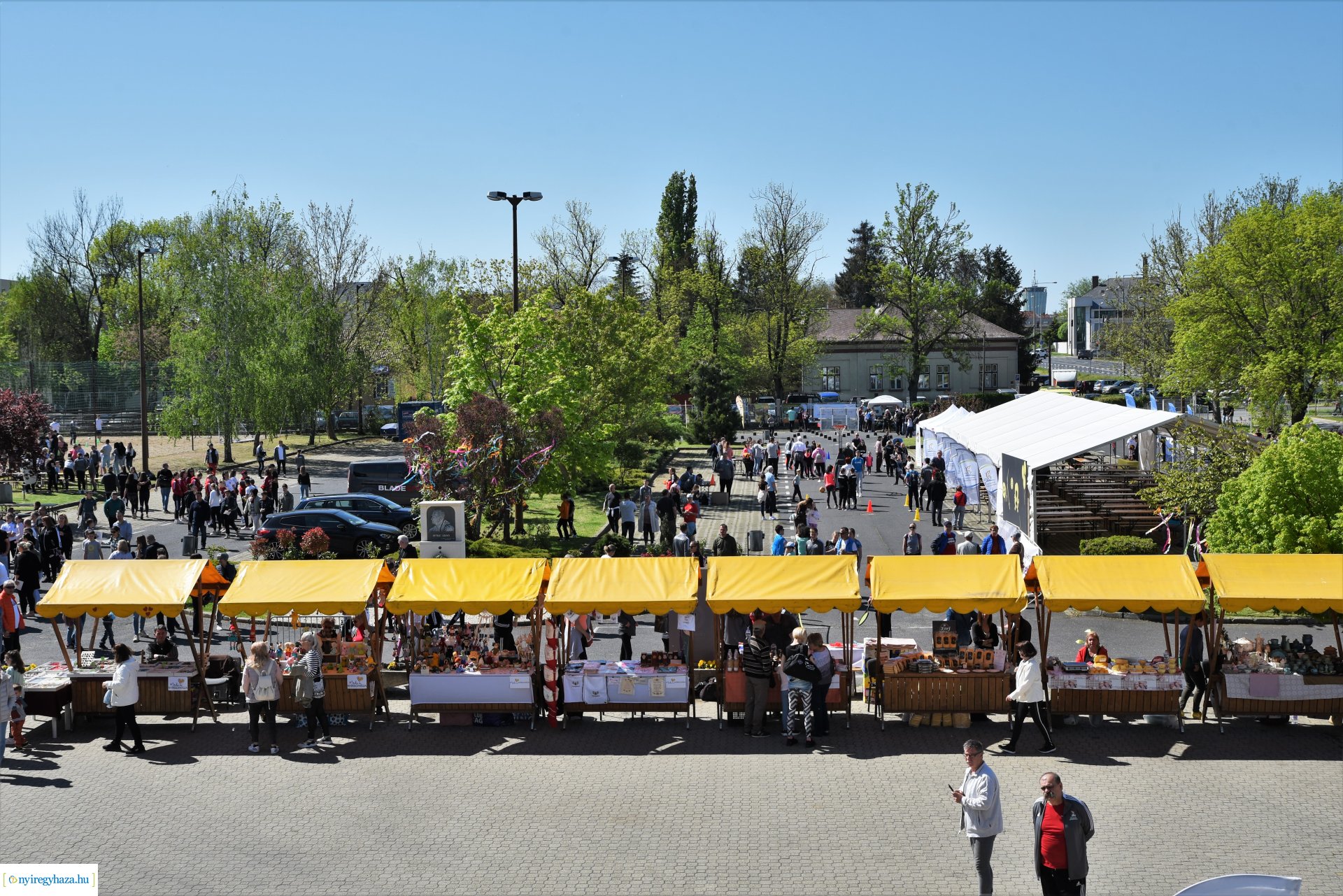 Fitt Város 2023 - 2