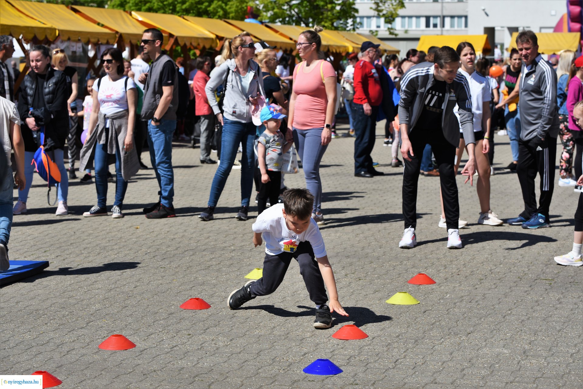 Fitt Város 2023 - 2