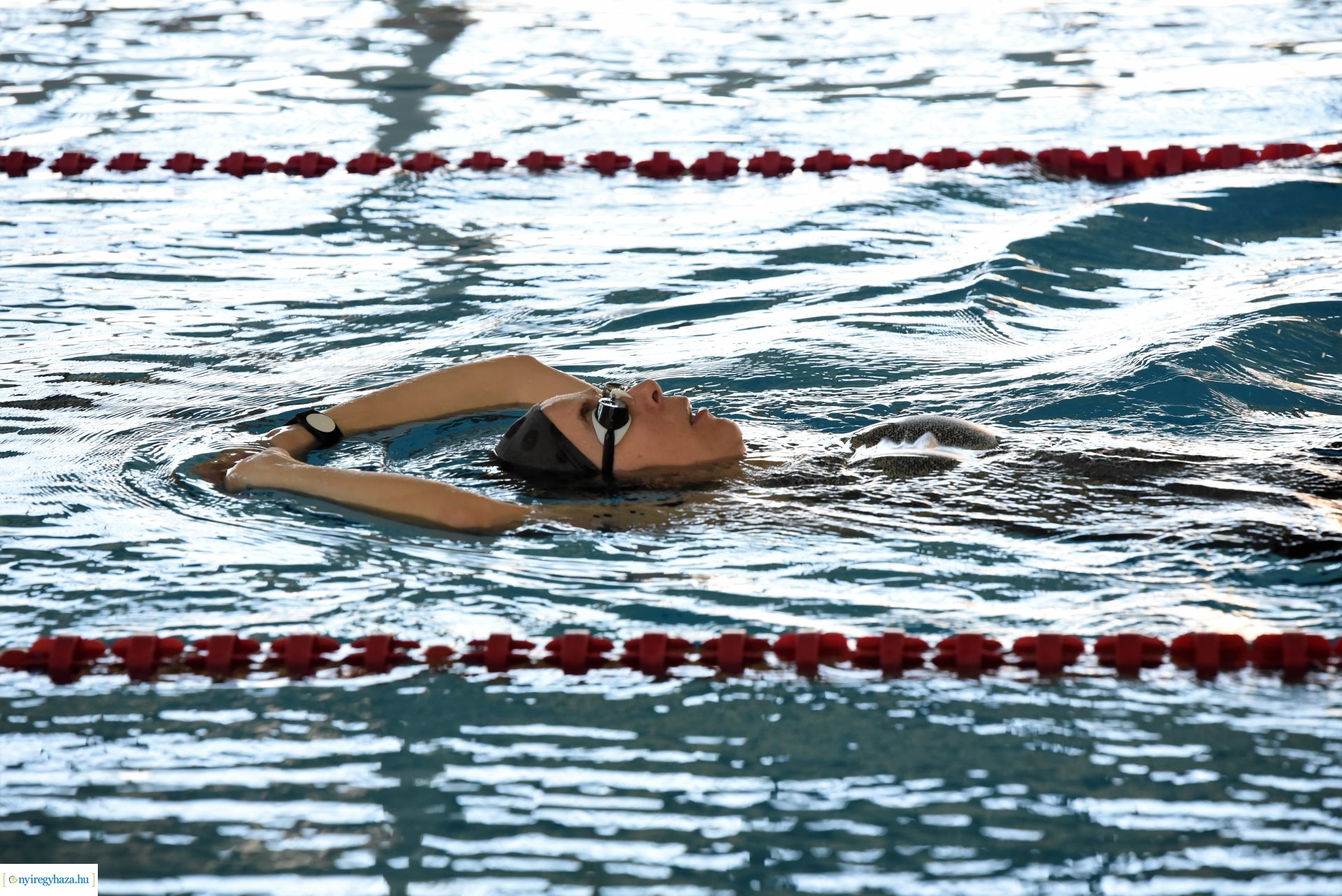 Fitt Város 2023 - 2