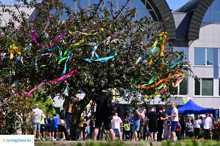 Fitt-Város 2024 - délelőtti pillanatok