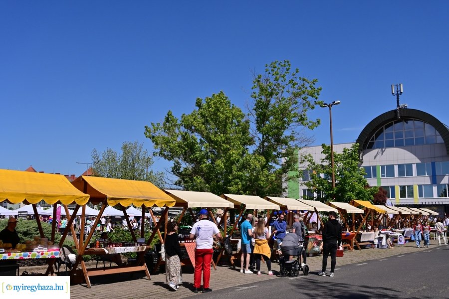 Fitt-Város 2024 - délelőtti pillanatok