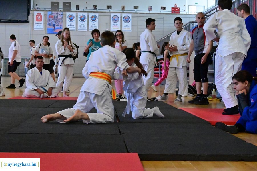 Fitt-Város 2024 - délelőtti pillanatok