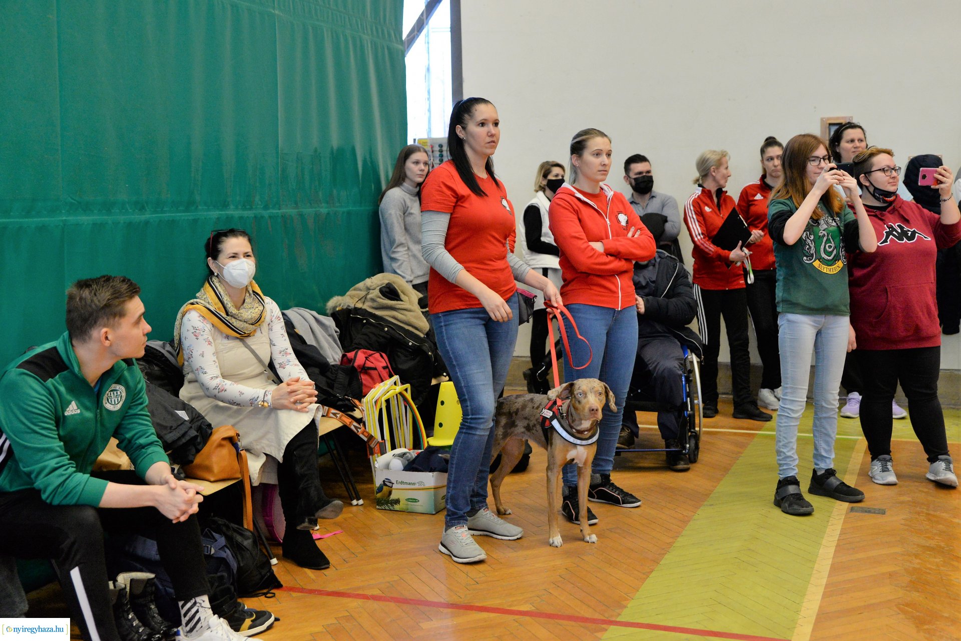 Fogyatékkal Élők Egyetemi Sportnapja
