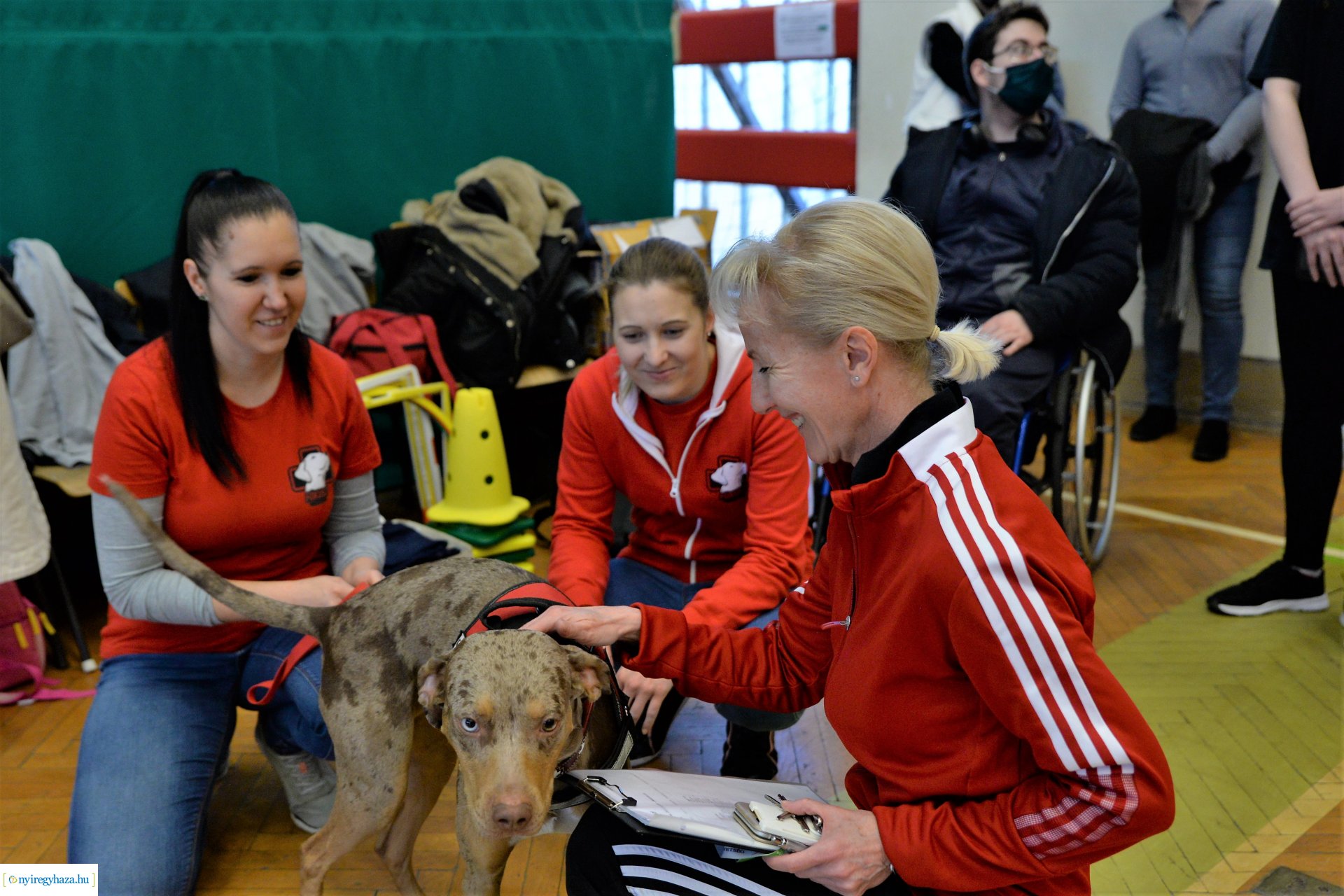 Fogyatékkal Élők Egyetemi Sportnapja