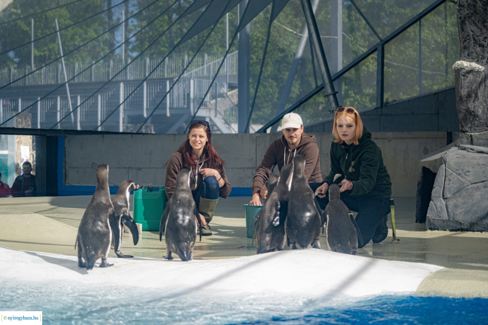 Föld Napja a Nyíregyházi Állatparkban