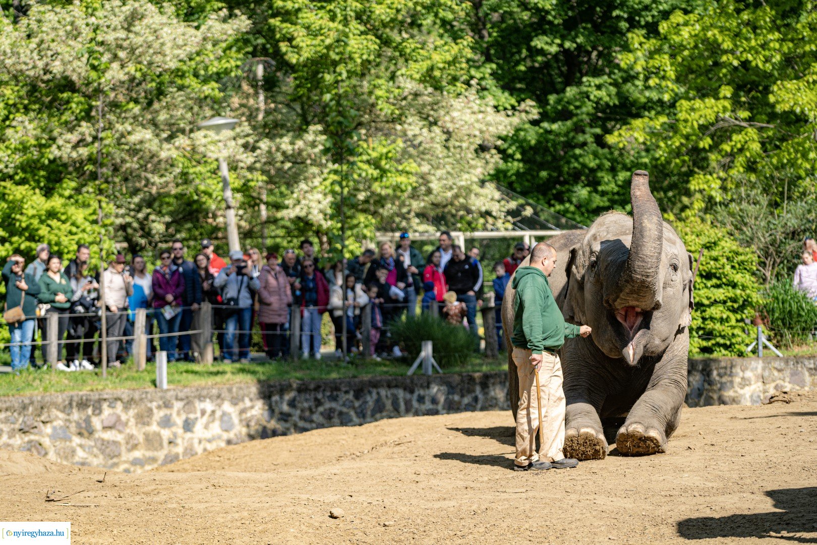 Föld Napja a Nyíregyházi Állatparkban