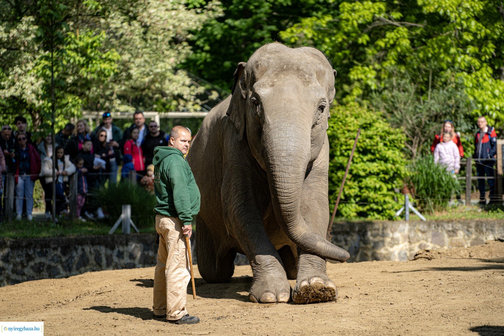 Föld Napja a Nyíregyházi Állatparkban