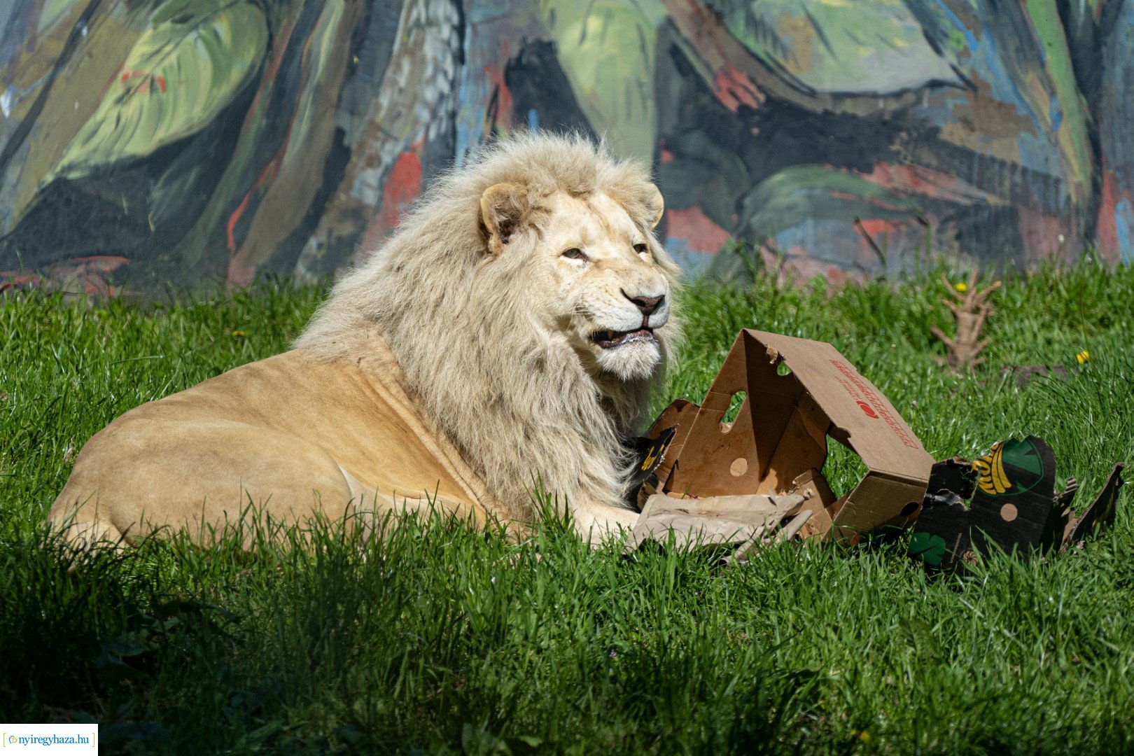 Föld Napja a Nyíregyházi Állatparkban