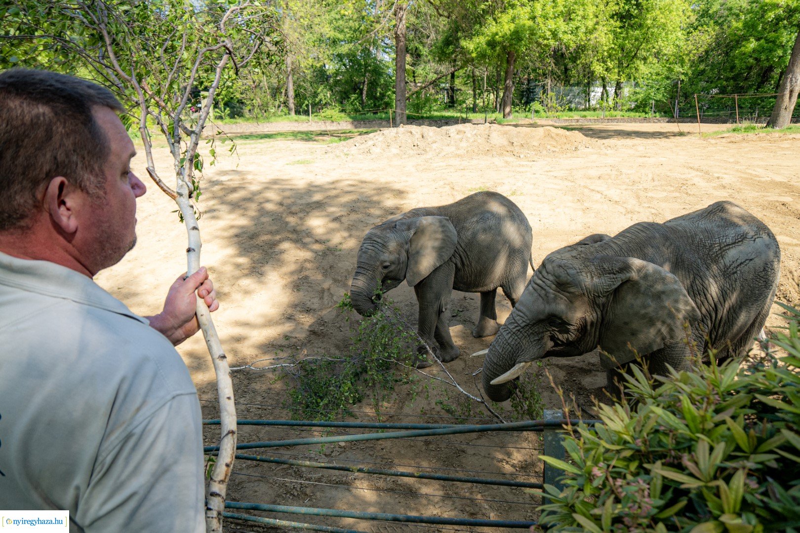 Föld Napja a Nyíregyházi Állatparkban