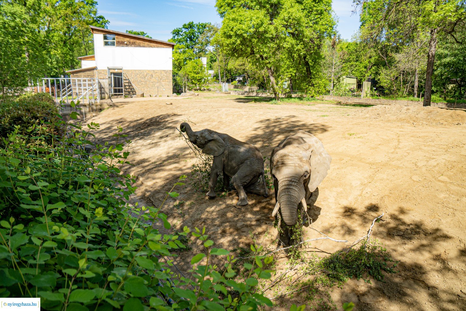 Föld Napja a Nyíregyházi Állatparkban