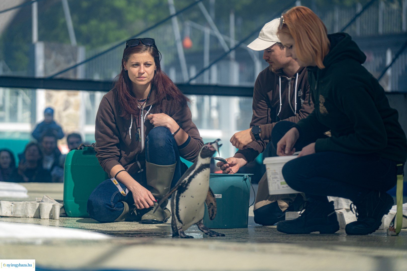 Föld Napja a Nyíregyházi Állatparkban