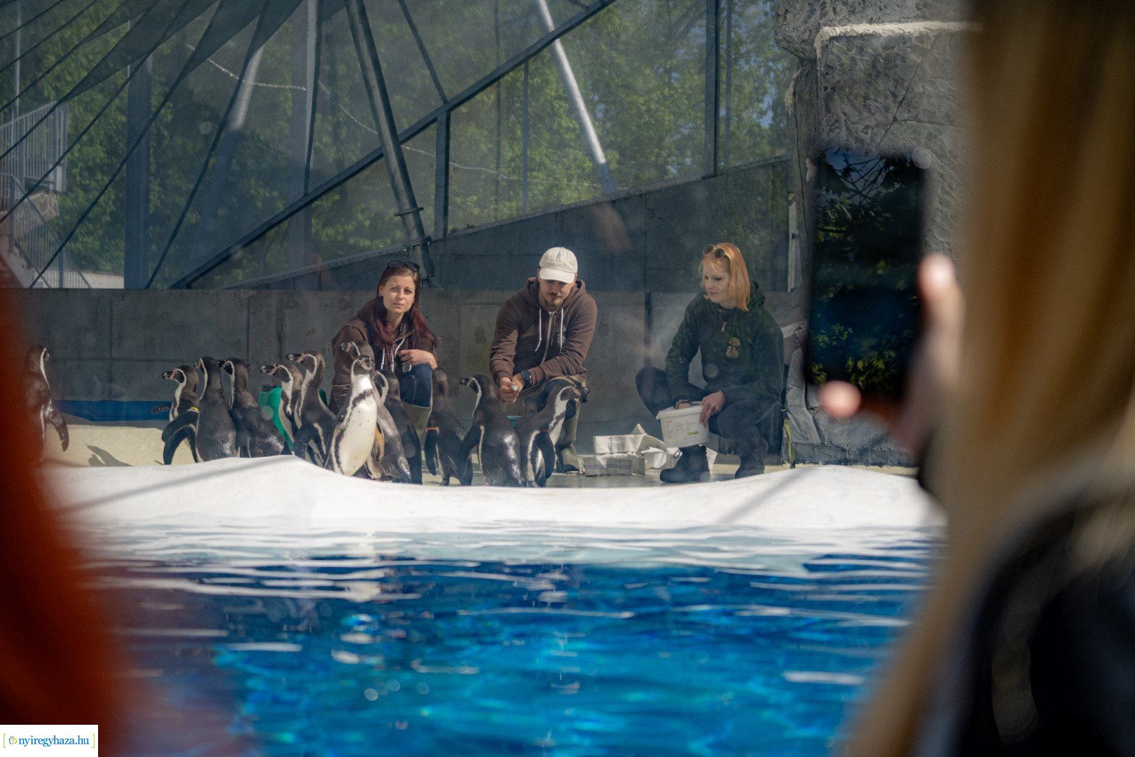 Föld Napja a Nyíregyházi Állatparkban