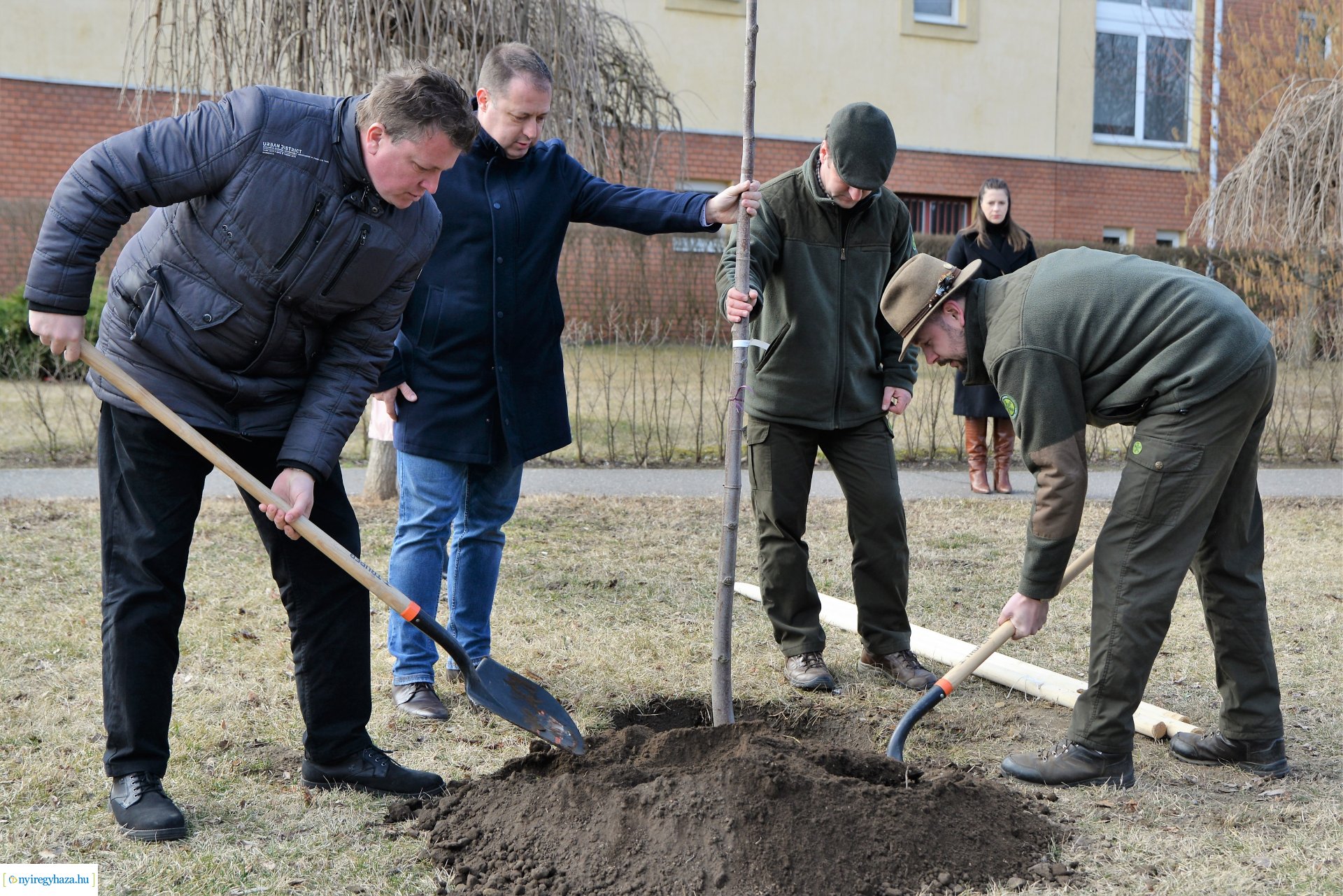 Folytatódik a fásítási program Nyíregyházán