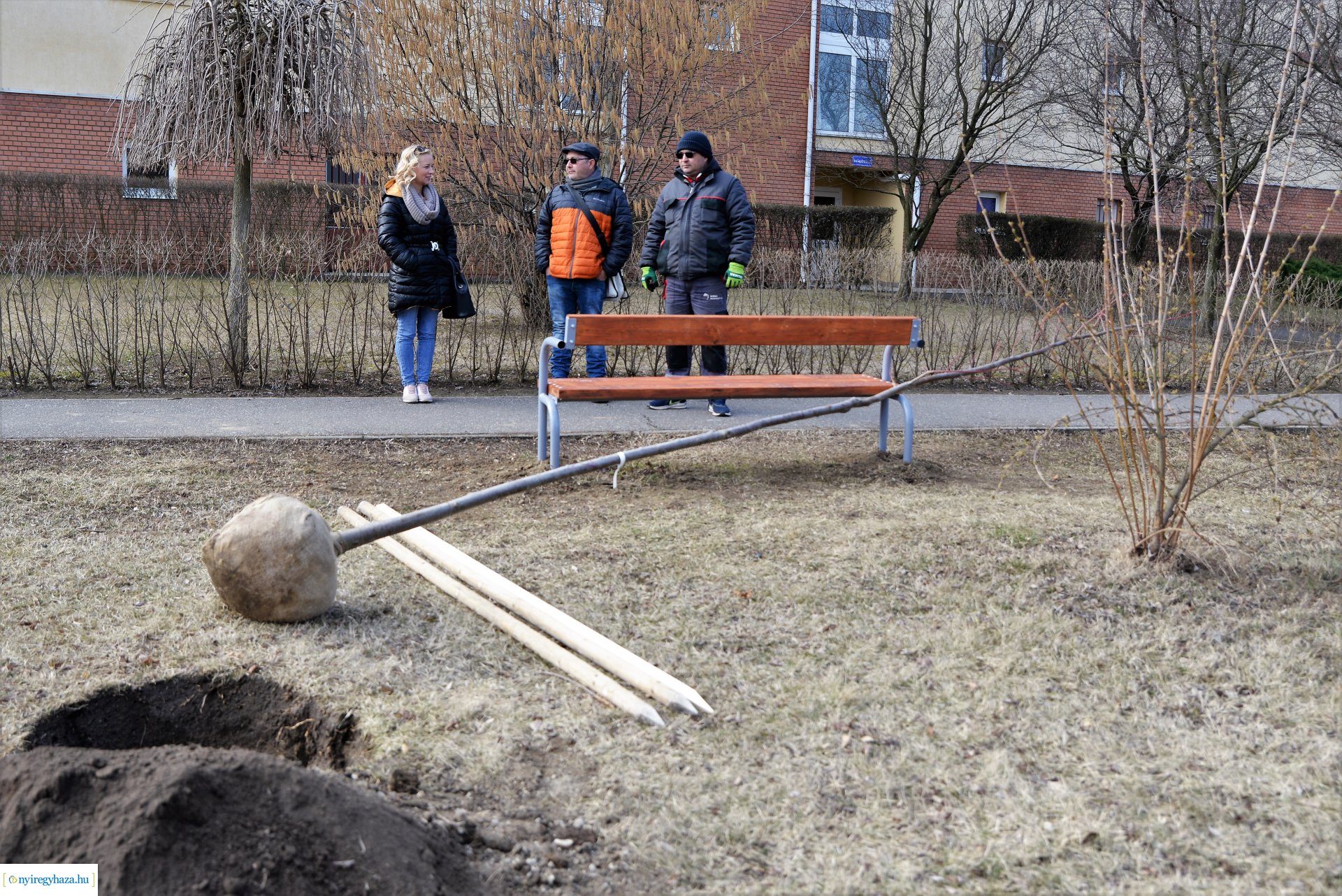 Folytatódik a fásítási program Nyíregyházán