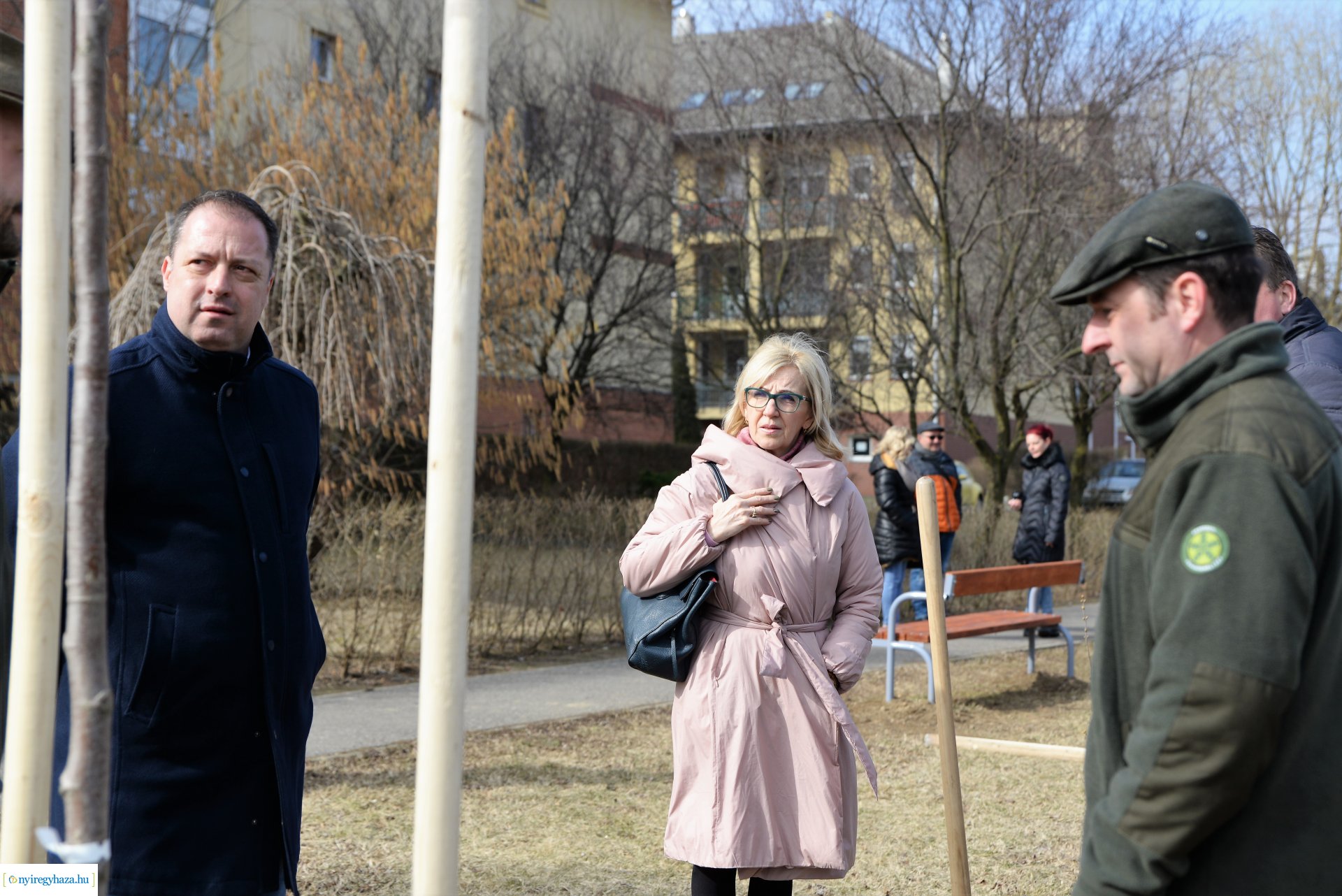 Folytatódik a fásítási program Nyíregyházán
