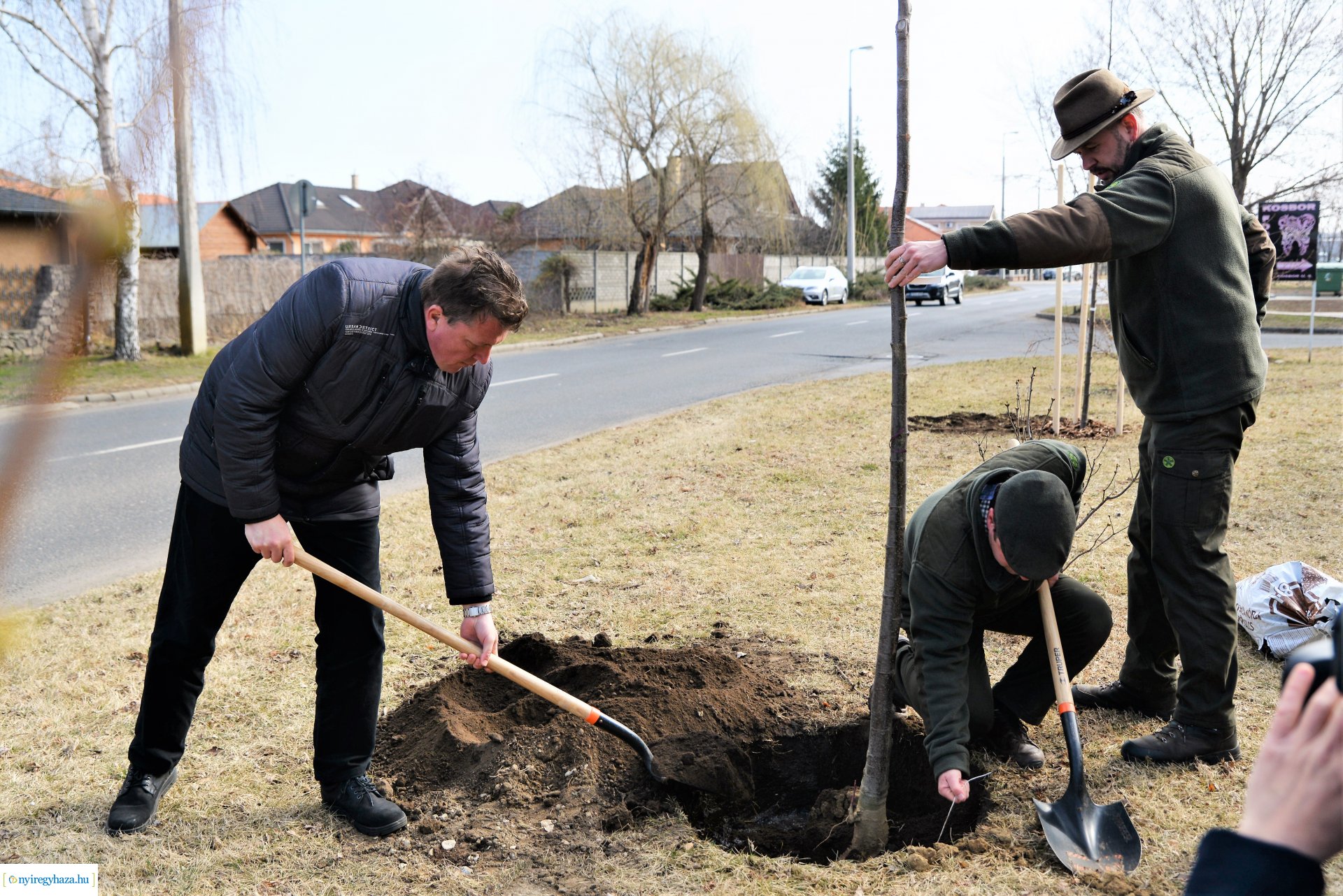 Folytatódik a fásítási program Nyíregyházán