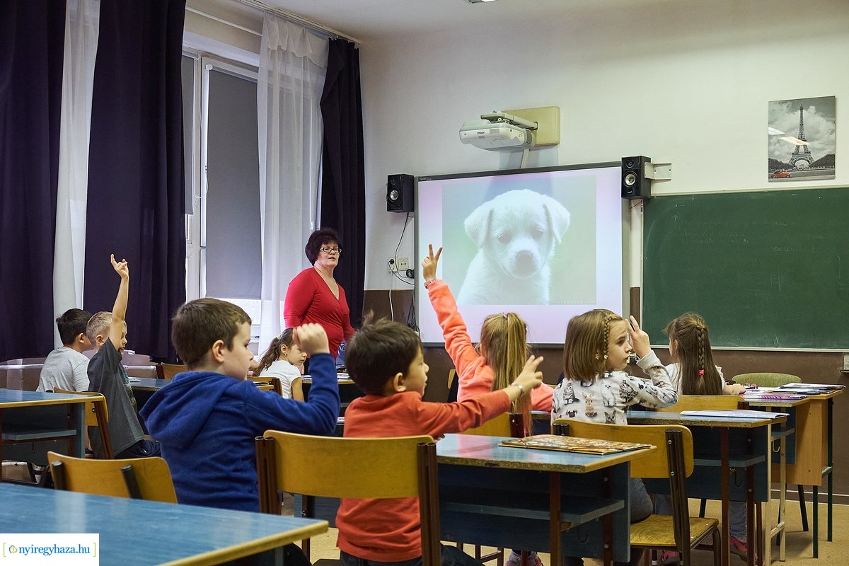 Francia nyelvi tagozat az Apáczai iskolában