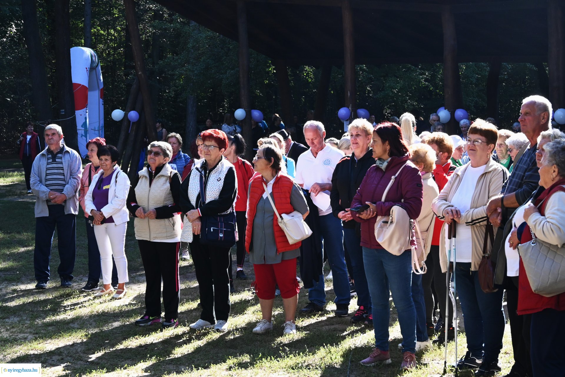 Fuss a demencia ellen!