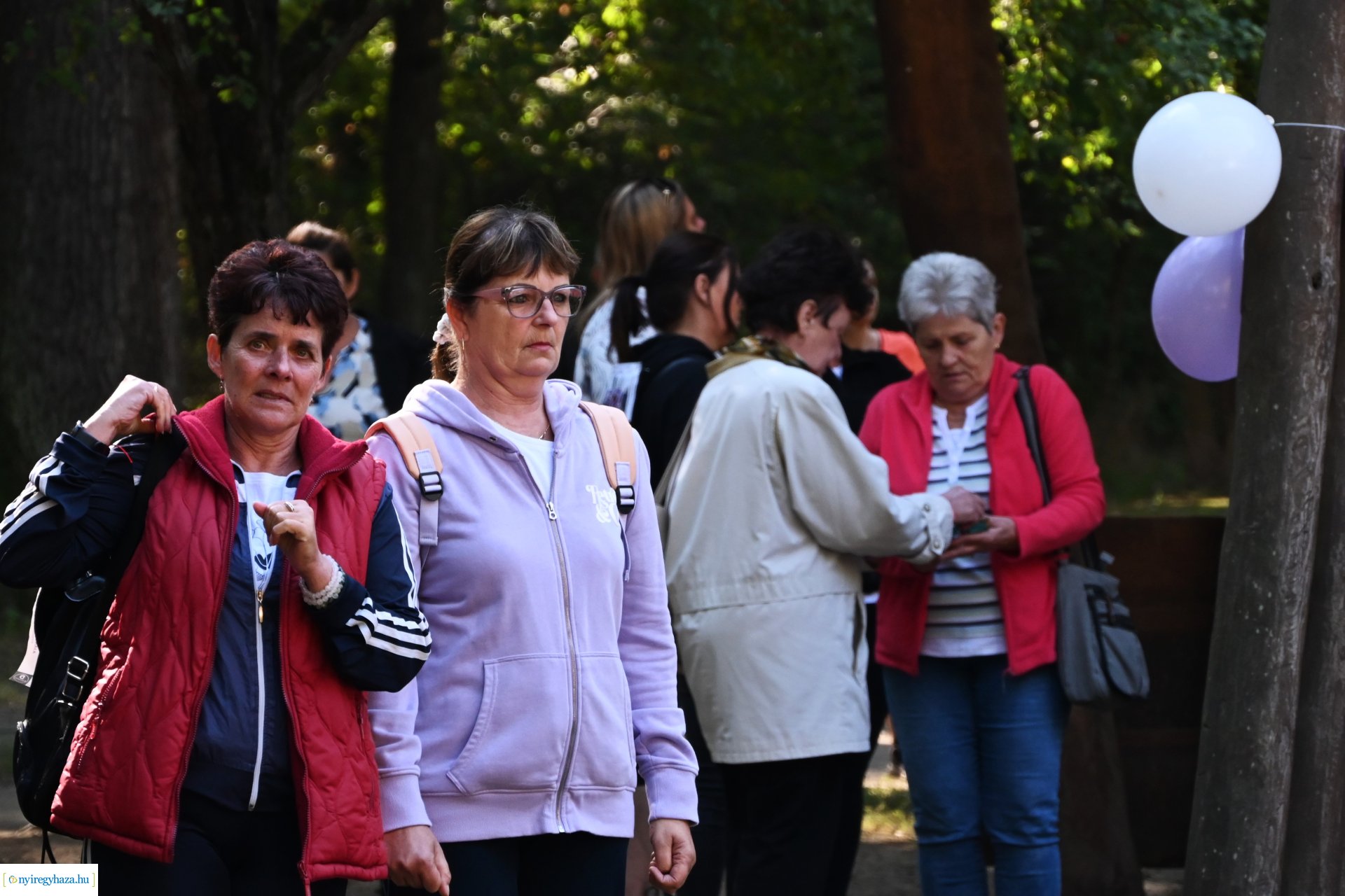 Fuss a demencia ellen!