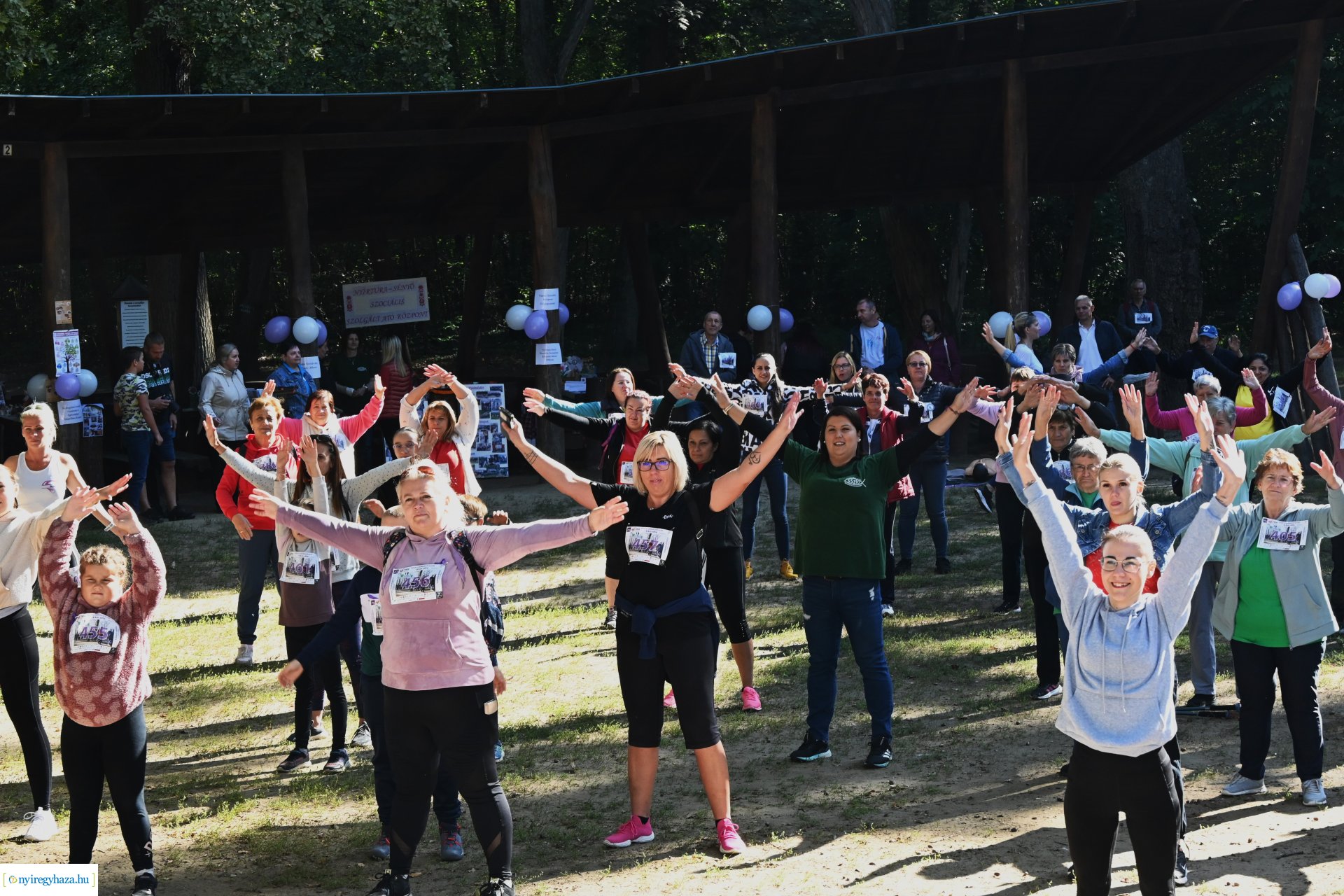 Fuss a demencia ellen!